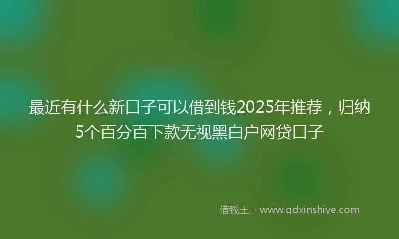 最近有什么新口子可以借到钱2025年推荐，归纳5个百分百下款无视黑白户网贷口子