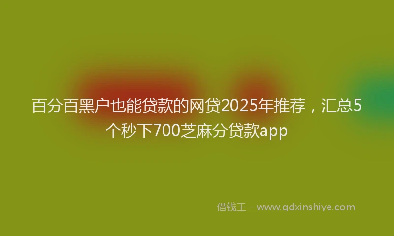 百分百黑户也能贷款的网贷2025年推荐，汇总5个秒下700芝麻分贷款app