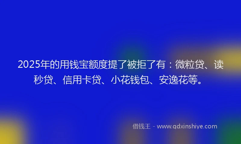 2025年的用钱宝额度提了被拒了有：微粒贷、读秒贷、信用卡贷、小花钱包、安逸花等。
