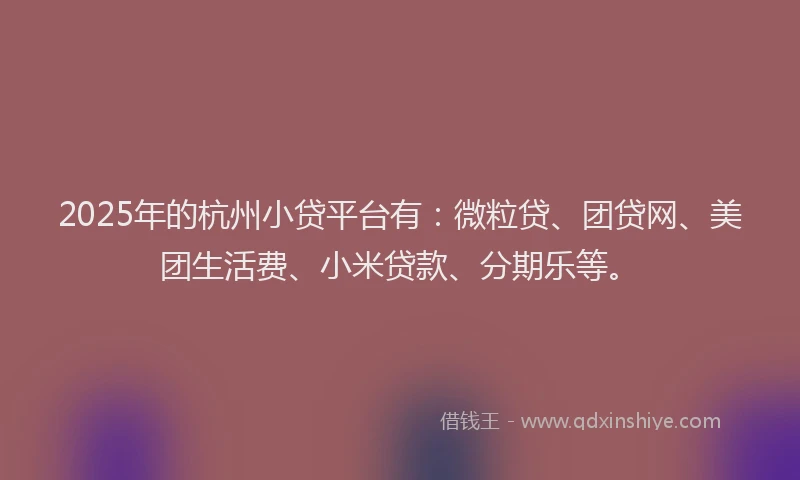 2025年的杭州小贷平台有：微粒贷、团贷网、美团生活费、小米贷款、分期乐等。