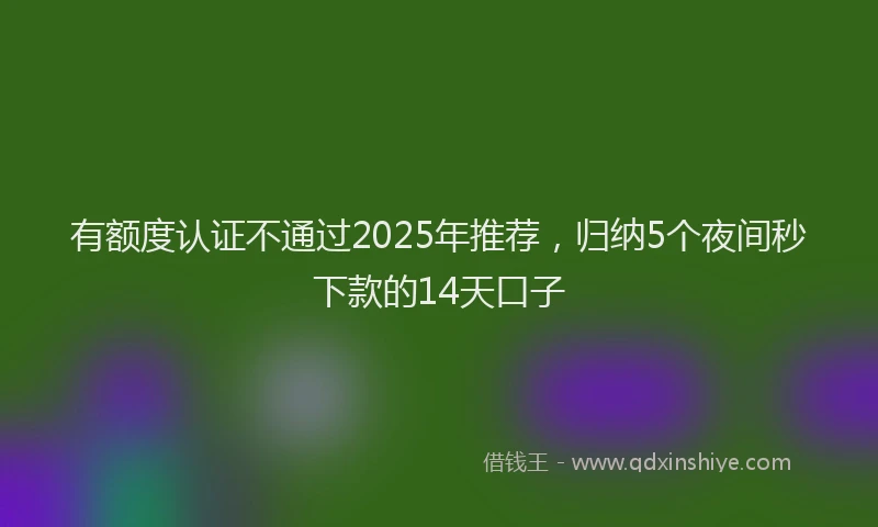有额度认证不通过2025年推荐，归纳5个夜间秒下款的14天口子