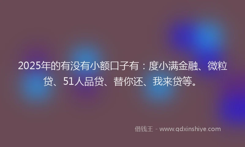 2025年的有没有小额口子有：度小满金融、微粒贷、51人品贷、替你还、我来贷等。