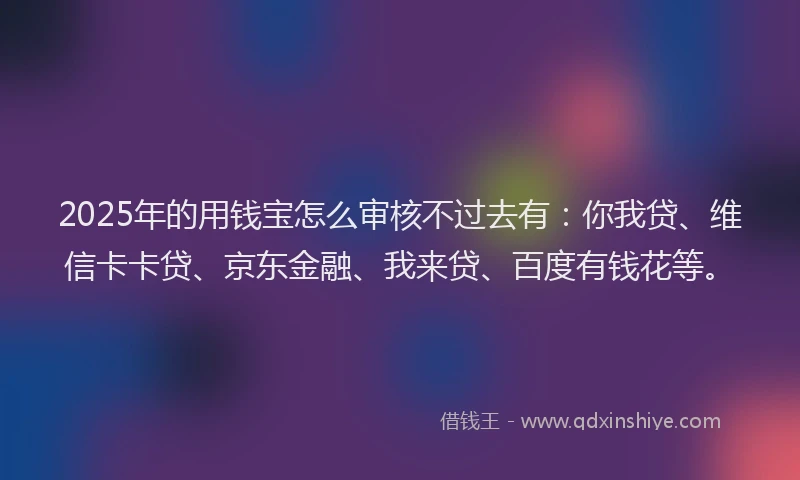 2025年的用钱宝怎么审核不过去有：你我贷、维信卡卡贷、京东金融、我来贷、百度有钱花等。
