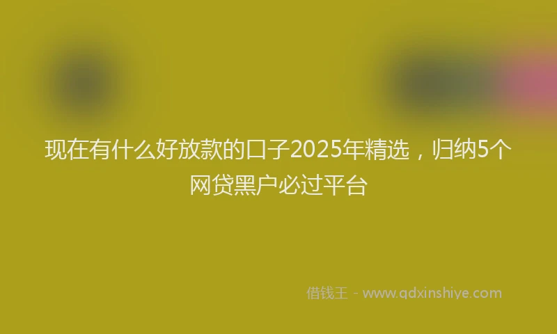现在有什么好放款的口子2025年精选，归纳5个网贷黑户必过平台