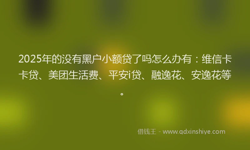 2025年的没有黑户小额贷了吗怎么办有：维信卡卡贷、美团生活费、平安i贷、融逸花、安逸花等。