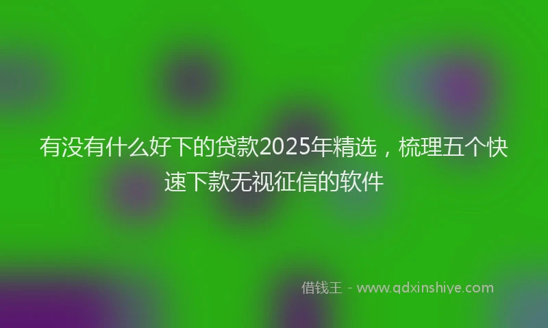 有没有什么好下的贷款2025年精选，梳理五个快速下款无视征信的软件