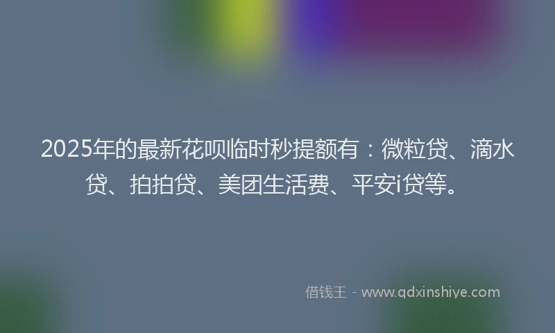 2025年的最新花呗临时秒提额有：微粒贷、滴水贷、拍拍贷、美团生活费、平安i贷等。