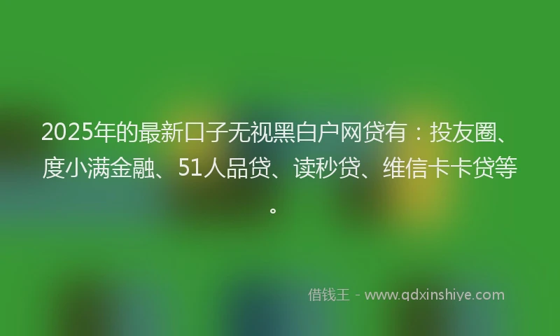 2025年的最新口子无视黑白户网贷有：投友圈、度小满金融、51人品贷、读秒贷、维信卡卡贷等。