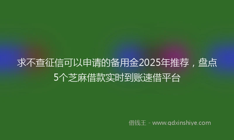 求不查征信可以申请的备用金2025年推荐，盘点5个芝麻借款实时到账速借平台