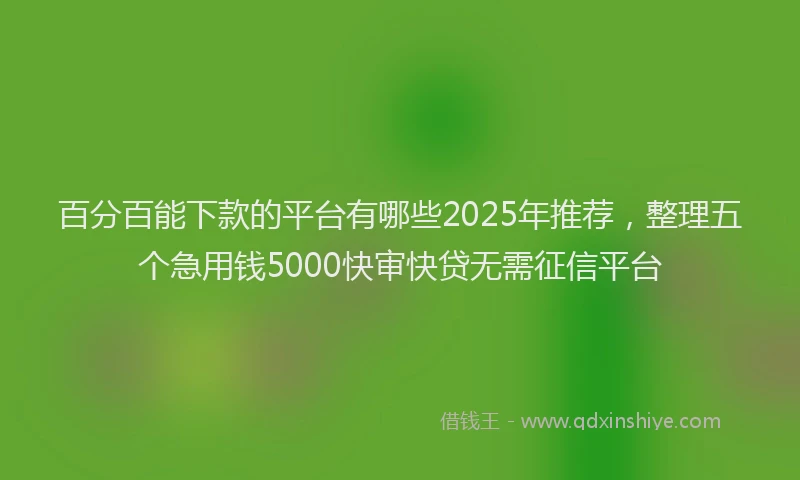 百分百能下款的平台有哪些2025年推荐，整理五个急用钱5000快审快贷无需征信平台