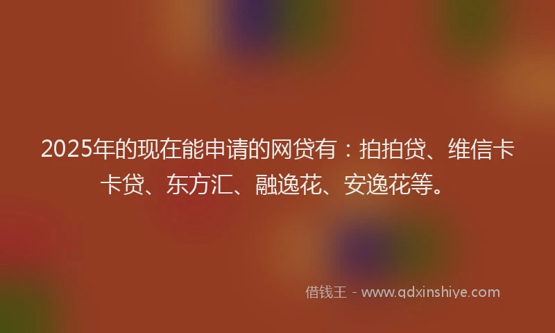 2025年的现在能申请的网贷有：拍拍贷、维信卡卡贷、东方汇、融逸花、安逸花等。