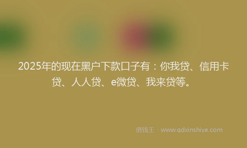 2025年的现在黑户下款口子有：你我贷、信用卡贷、人人贷、e微贷、我来贷等。
