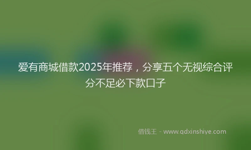 爱有商城借款2025年推荐，分享五个无视综合评分不足必下款口子