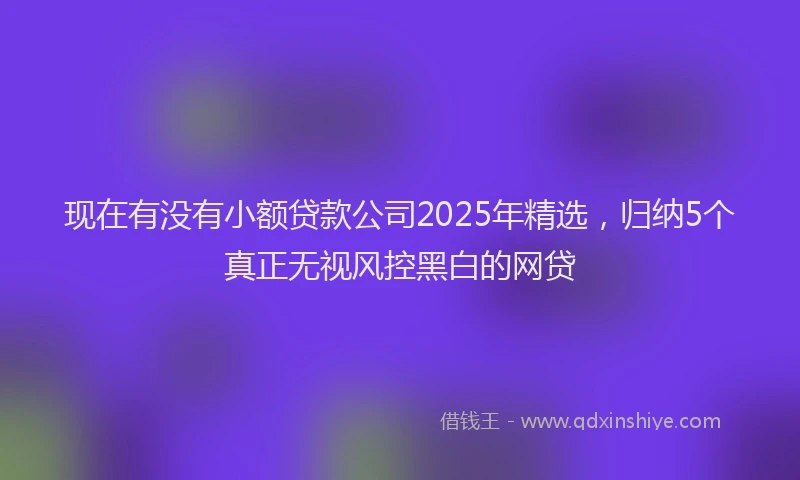 现在有没有小额贷款公司2025年精选，归纳5个真正无视风控黑白的网贷