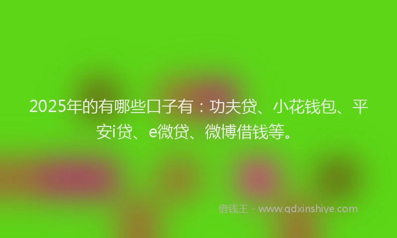 2025年的有哪些口子有：功夫贷、小花钱包、平安i贷、e微贷、微博借钱等。