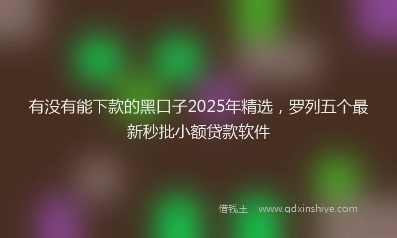 有没有能下款的黑口子2025年精选，罗列五个最新秒批小额贷款软件