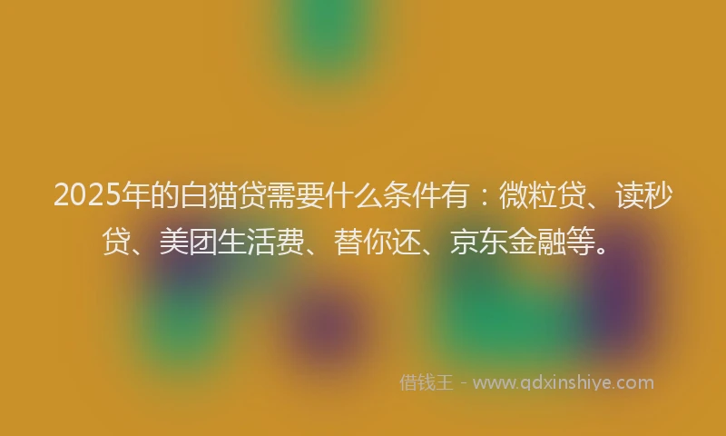 2025年的白猫贷需要什么条件有：微粒贷、读秒贷、美团生活费、替你还、京东金融等。