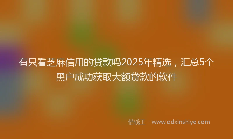 有只看芝麻信用的贷款吗2025年精选，汇总5个黑户成功获取大额贷款的软件