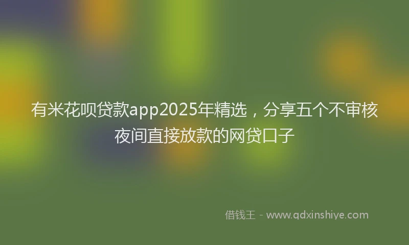 有米花呗贷款app2025年精选，分享五个不审核夜间直接放款的网贷口子