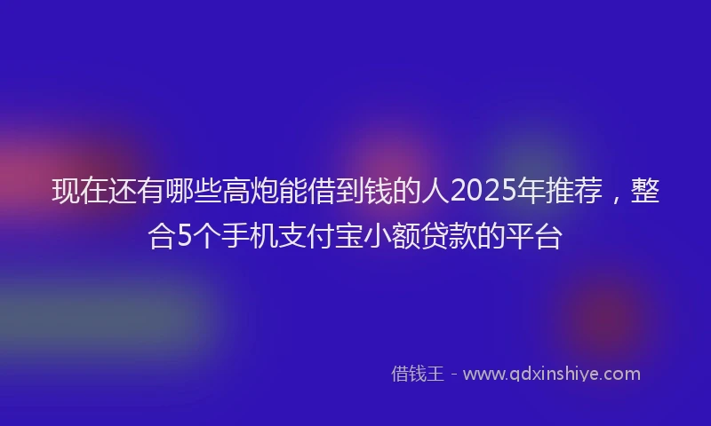 现在还有哪些高炮能借到钱的人2025年推荐，整合5个手机支付宝小额贷款的平台