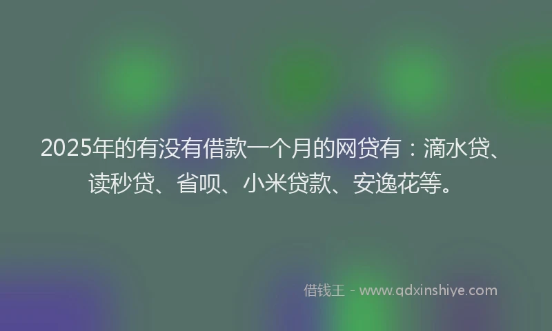 2025年的有没有借款一个月的网贷有：滴水贷、读秒贷、省呗、小米贷款、安逸花等。