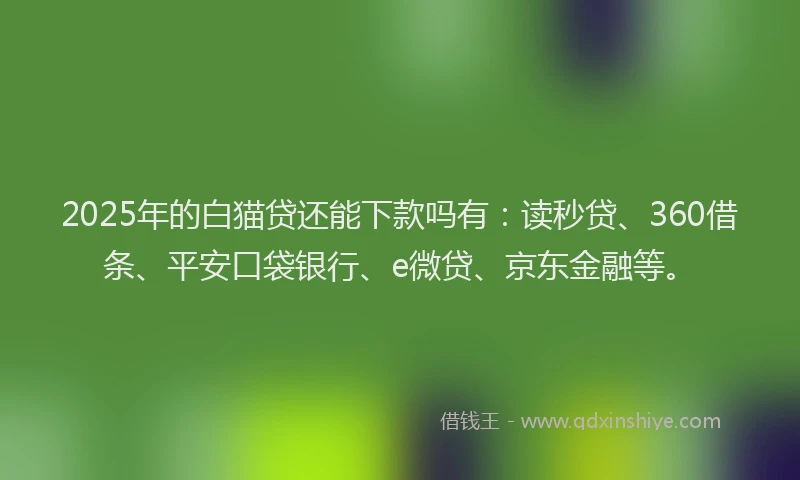 2025年的白猫贷还能下款吗有：读秒贷、360借条、平安口袋银行、e微贷、京东金融等。