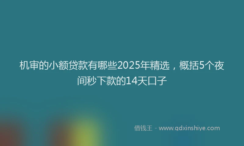 机审的小额贷款有哪些2025年精选，概括5个夜间秒下款的14天口子