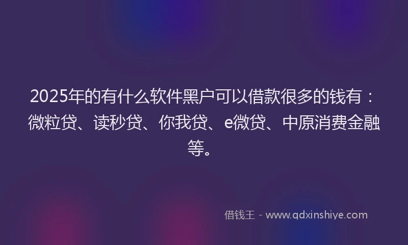 2025年的有什么软件黑户可以借款很多的钱有：微粒贷、读秒贷、你我贷、e微贷、中原消费金融等。