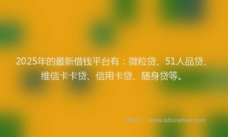 2025年的最新借钱平台有：微粒贷、51人品贷、维信卡卡贷、信用卡贷、随身贷等。