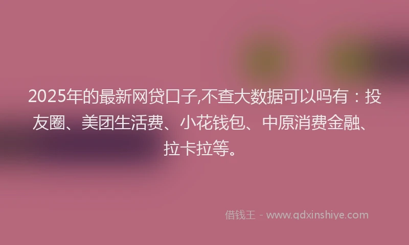2025年的最新网贷口子,不查大数据可以吗有：投友圈、美团生活费、小花钱包、中原消费金融、拉卡拉等。