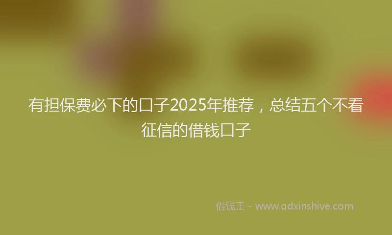 有担保费必下的口子2025年推荐，总结五个不看征信的借钱口子