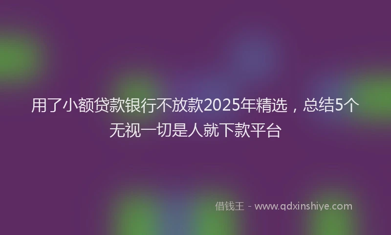 用了小额贷款银行不放款2025年精选，总结5个无视一切是人就下款平台