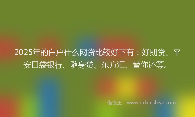 2025年的白户什么网贷比较好下有：好期贷、平安口袋银行、随身贷、东方汇、替你还等。