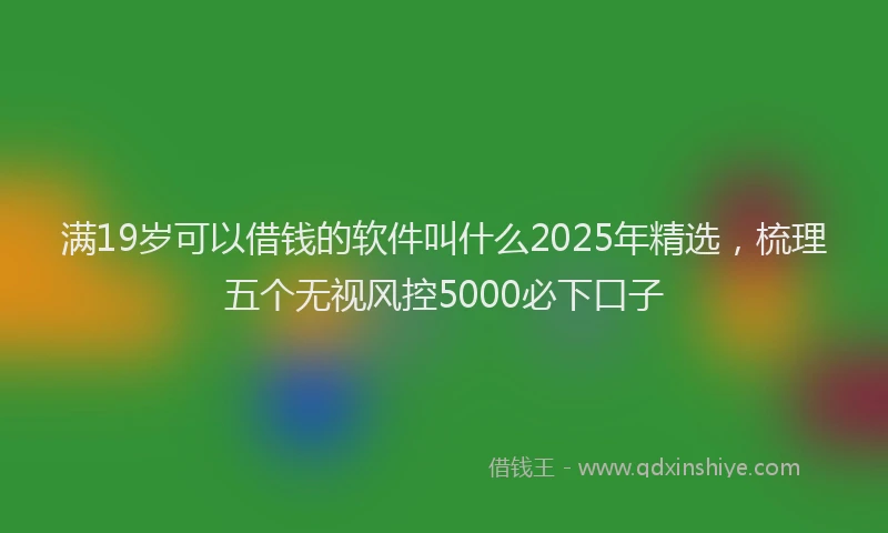 满19岁可以借钱的软件叫什么2025年精选，梳理五个无视风控5000必下口子