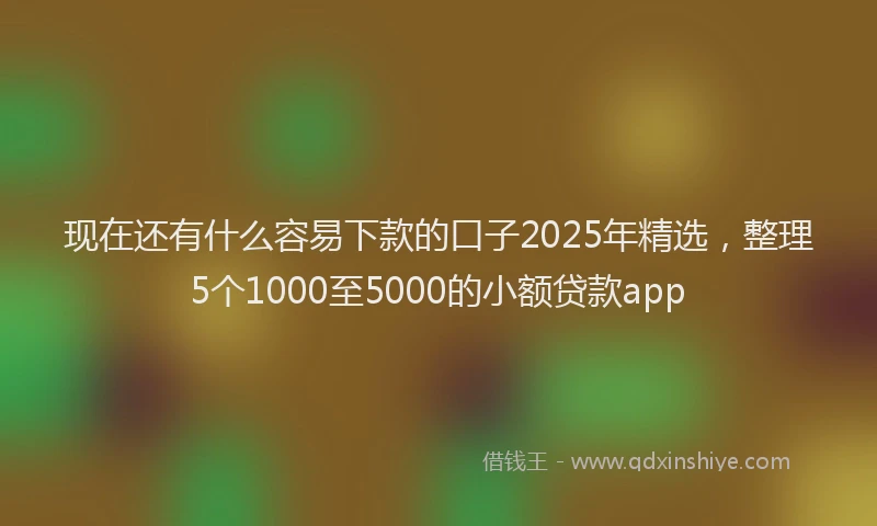 现在还有什么容易下款的口子2025年精选，整理5个1000至5000的小额贷款app