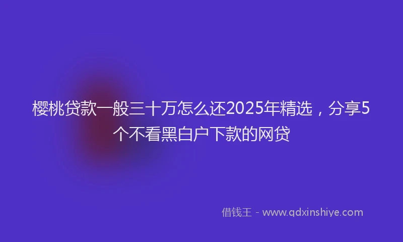 樱桃贷款一般三十万怎么还2025年精选，分享5个不看黑白户下款的网贷
