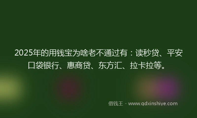 2025年的用钱宝为啥老不通过有：读秒贷、平安口袋银行、惠商贷、东方汇、拉卡拉等。