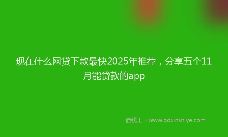 现在什么网贷下款最快2025年推荐，分享五个11月能贷款的app