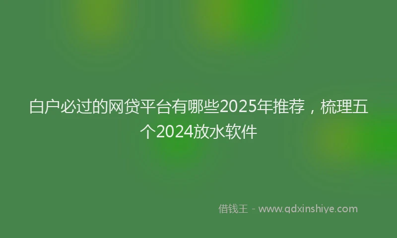 白户必过的网贷平台有哪些2025年推荐，梳理五个2024放水软件