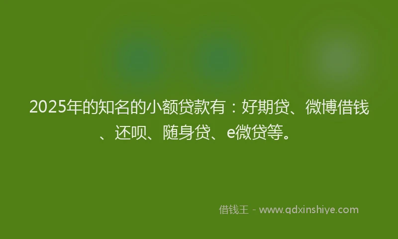 2025年的知名的小额贷款有：好期贷、微博借钱、还呗、随身贷、e微贷等。