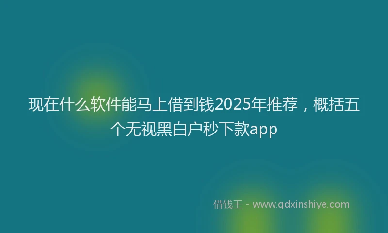 现在什么软件能马上借到钱2025年推荐，概括五个无视黑白户秒下款app