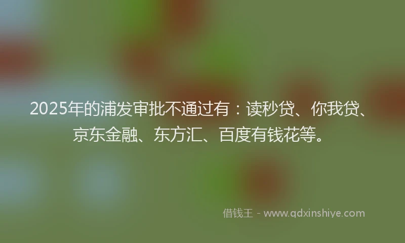 2025年的浦发审批不通过有：读秒贷、你我贷、京东金融、东方汇、百度有钱花等。