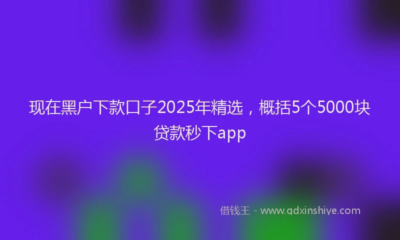 现在黑户下款口子2025年精选，概括5个5000块贷款秒下app