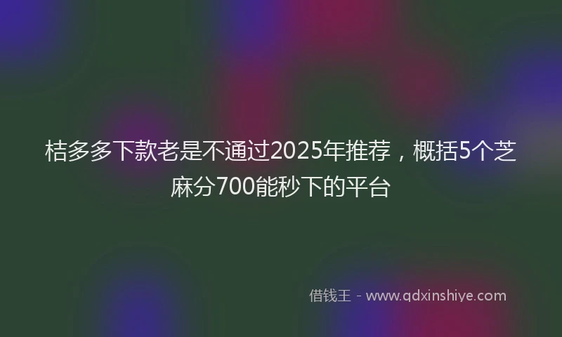 桔多多下款老是不通过2025年推荐，概括5个芝麻分700能秒下的平台