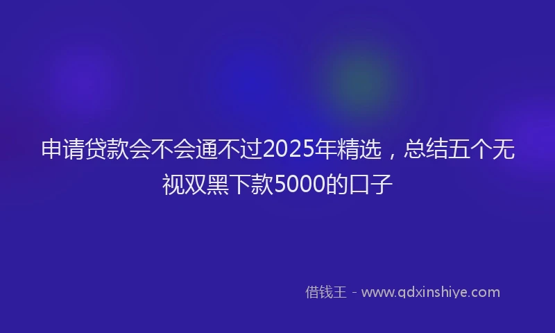 申请贷款会不会通不过2025年精选，总结五个无视双黑下款5000的口子