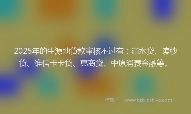 2025年的生源地贷款审核不过有：滴水贷、读秒贷、维信卡卡贷、惠商贷、中原消费金融等。