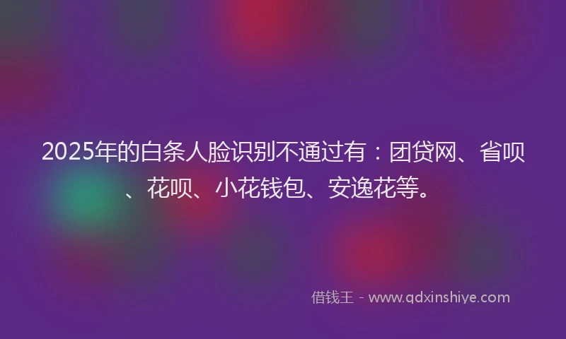 2025年的白条人脸识别不通过有：团贷网、省呗、花呗、小花钱包、安逸花等。