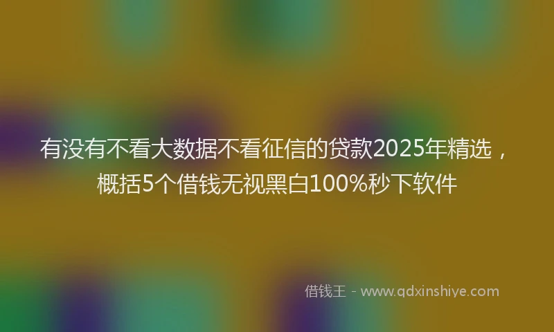 有没有不看大数据不看征信的贷款2025年精选，概括5个借钱无视黑白100%秒下软件