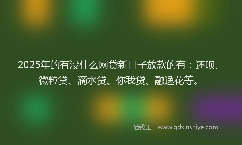 2025年的有没什么网贷新口子放款的有：还呗、微粒贷、滴水贷、你我贷、融逸花等。