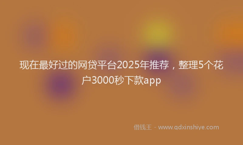 现在最好过的网贷平台2025年推荐，整理5个花户3000秒下款app